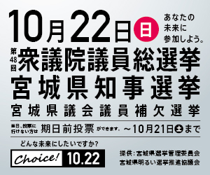 衆議院議員総選挙